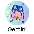 Gemini (Mithun)